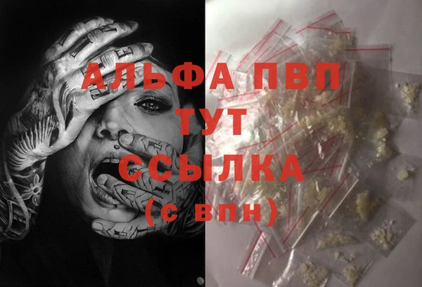 альфа пвп Каменногорск