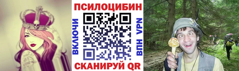 закладка  Прокопьевск  Псилоцибиновые грибы мицелий 